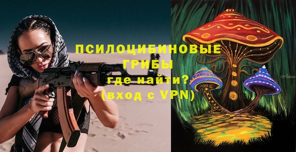 бошки Бронницы