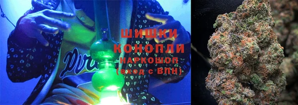 бошки Бронницы